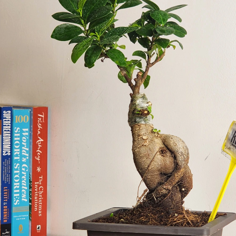 product-gallery