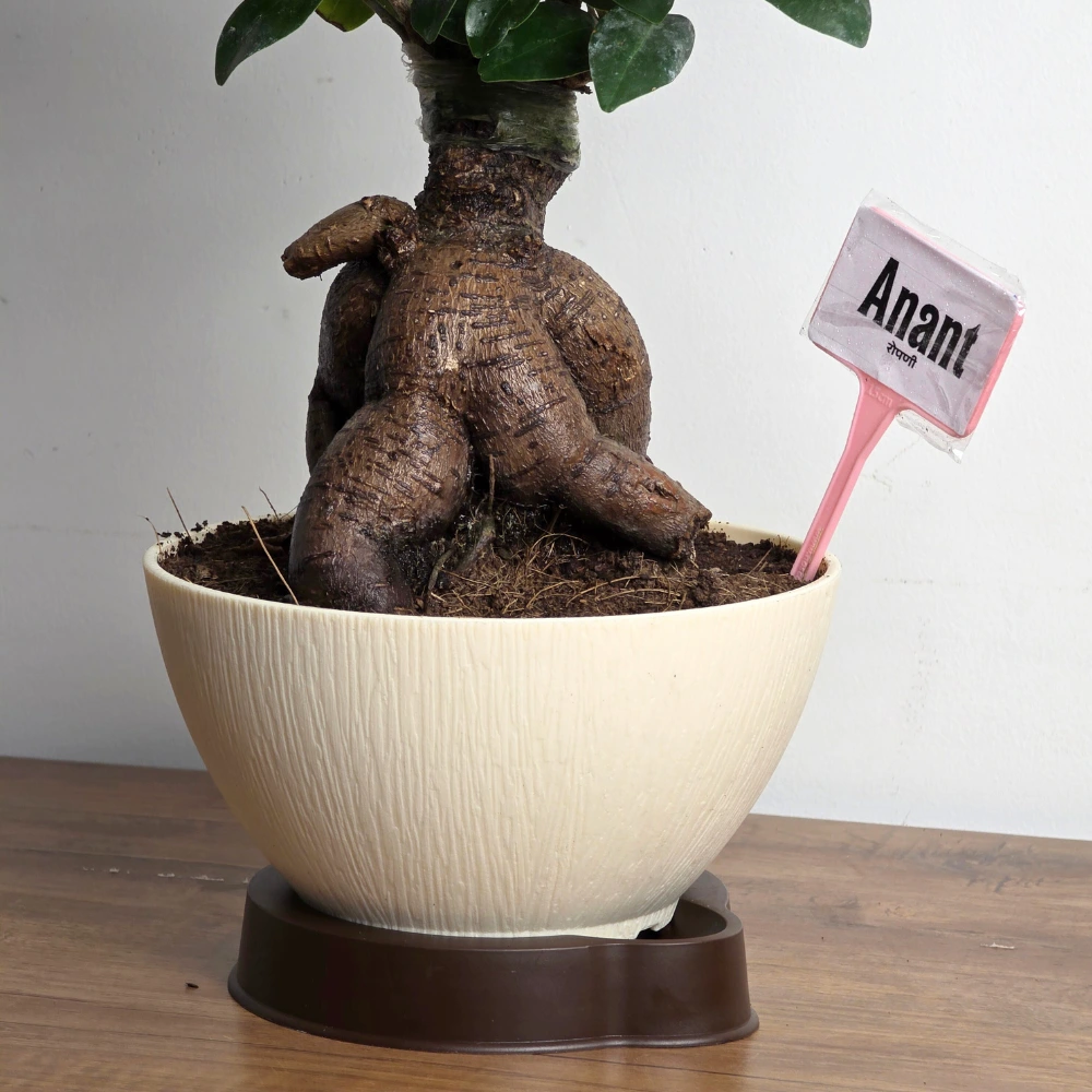 product-gallery