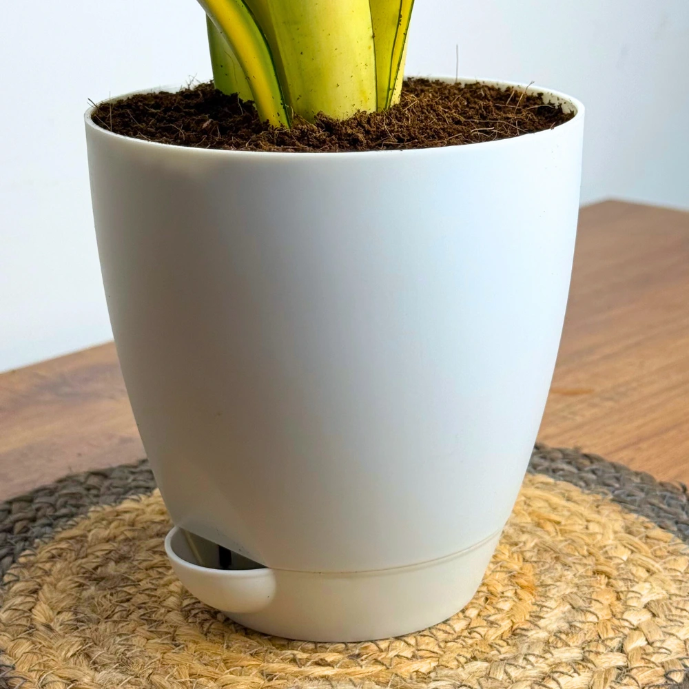 product-gallery