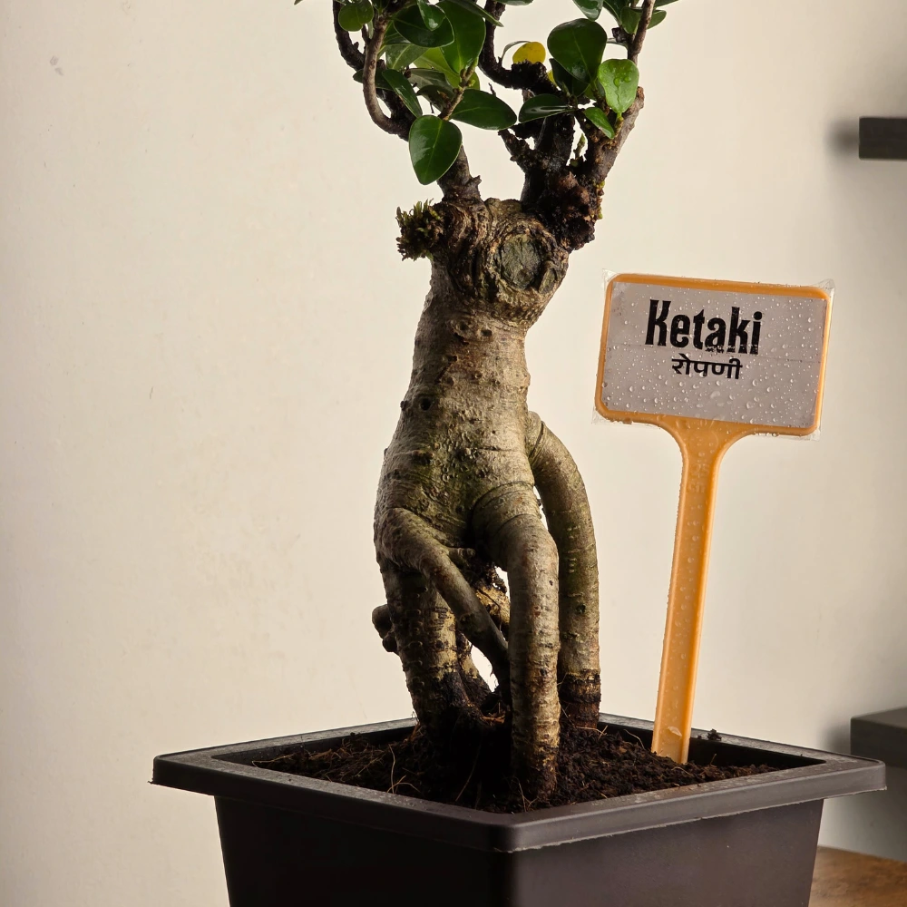 product-gallery