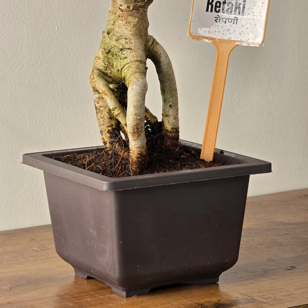 product-gallery
