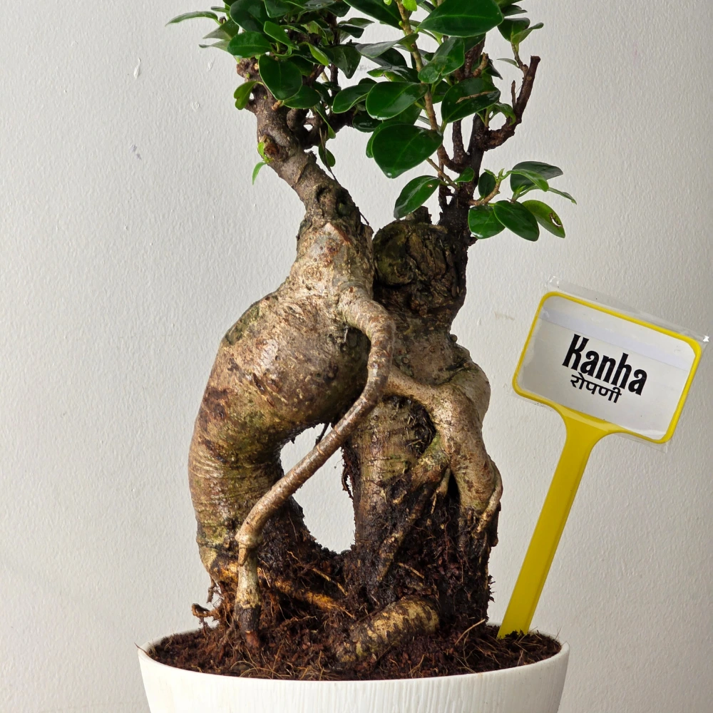 product-gallery