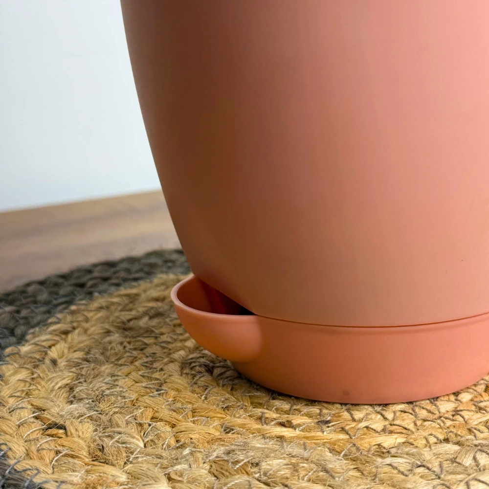 product-gallery