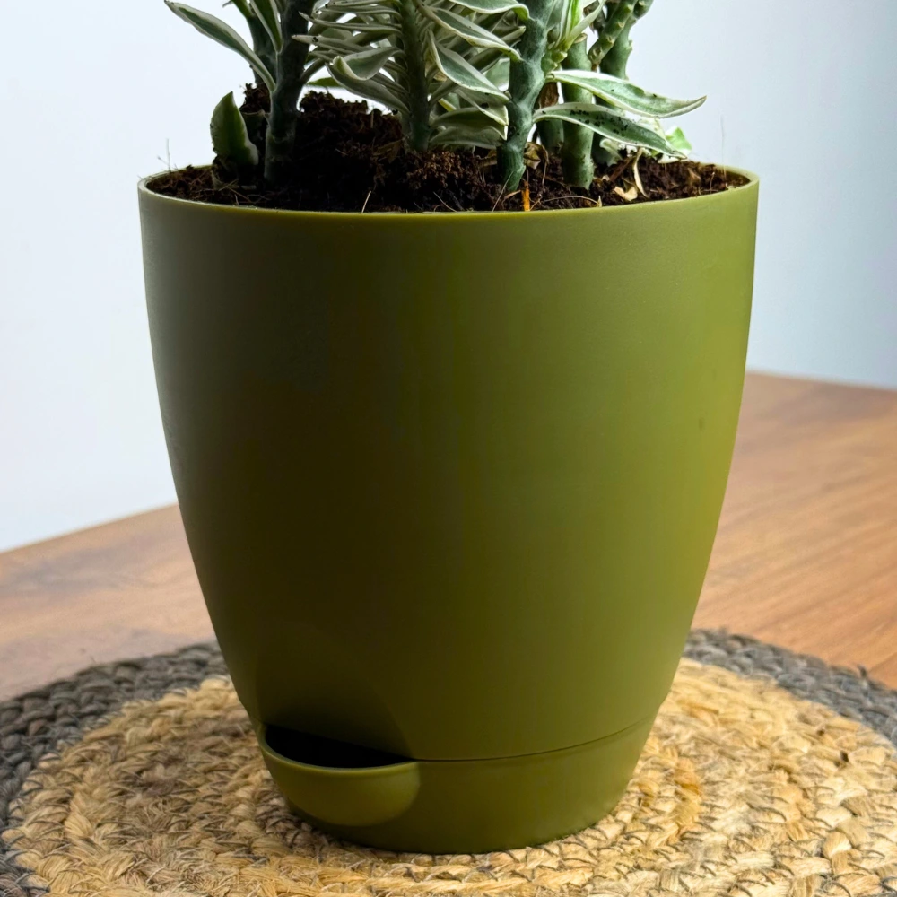 product-gallery