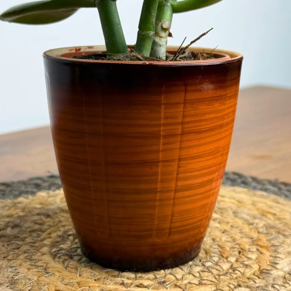 product-gallery