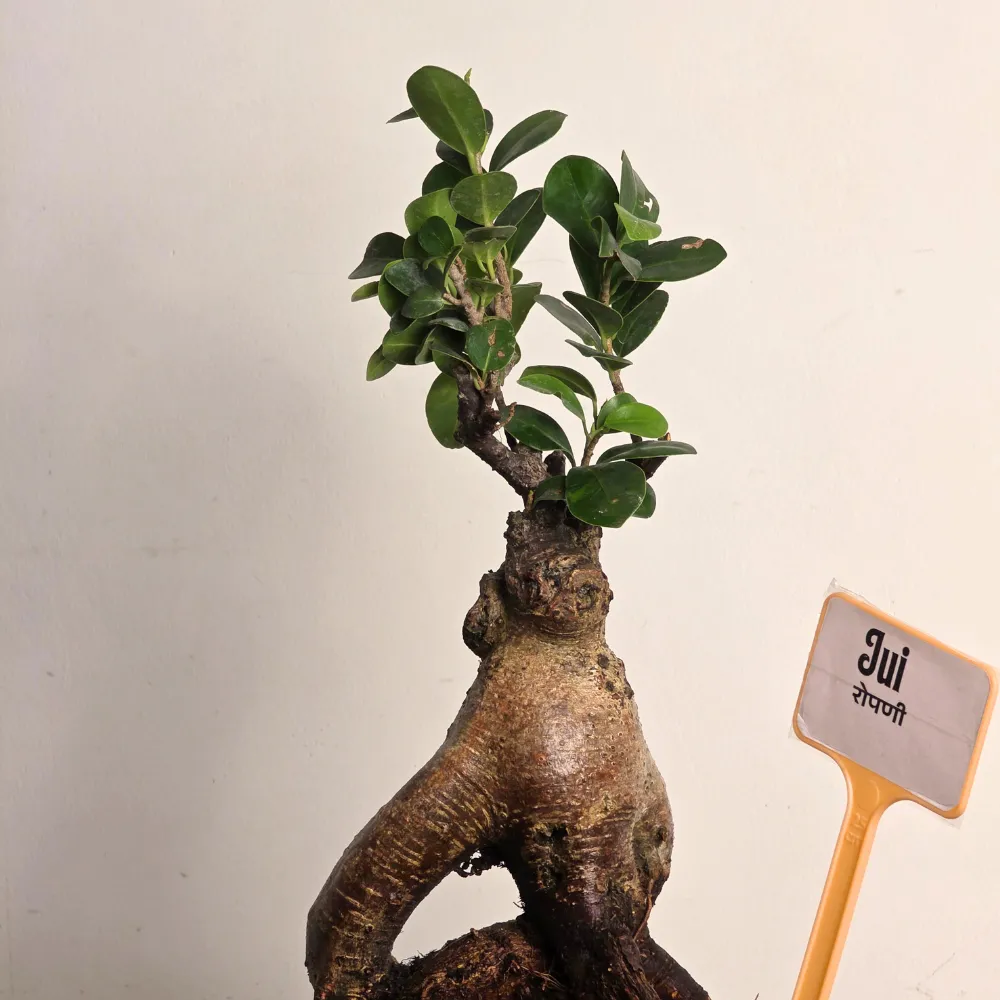 product-gallery