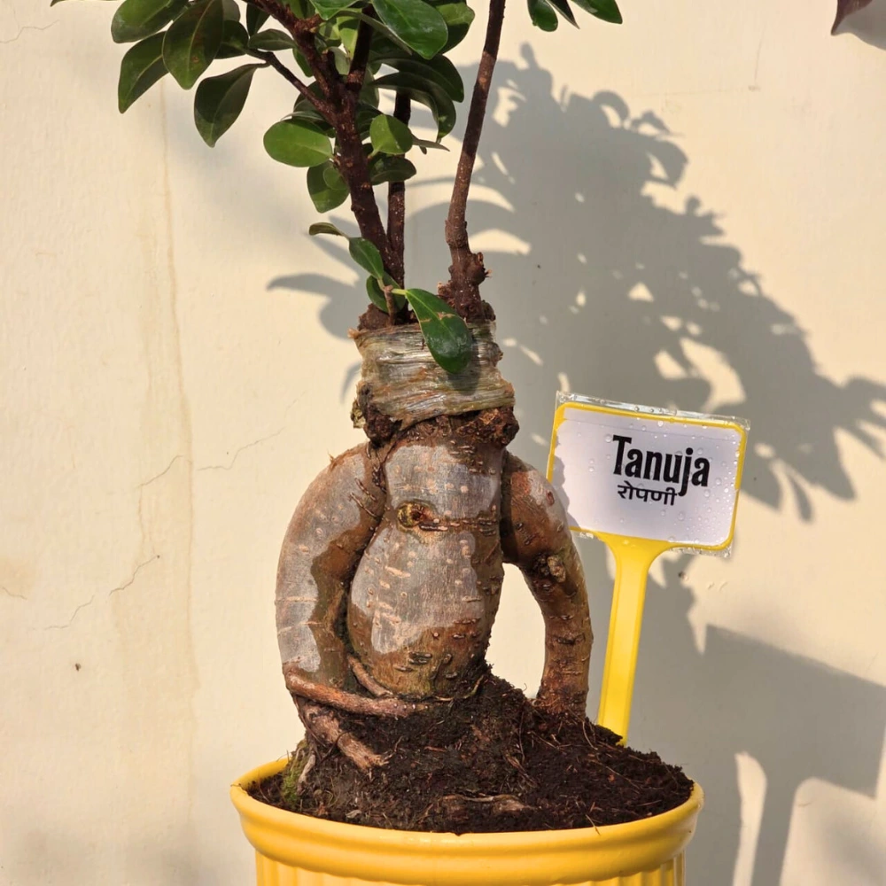 product-gallery