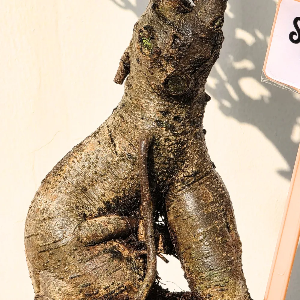 product-gallery