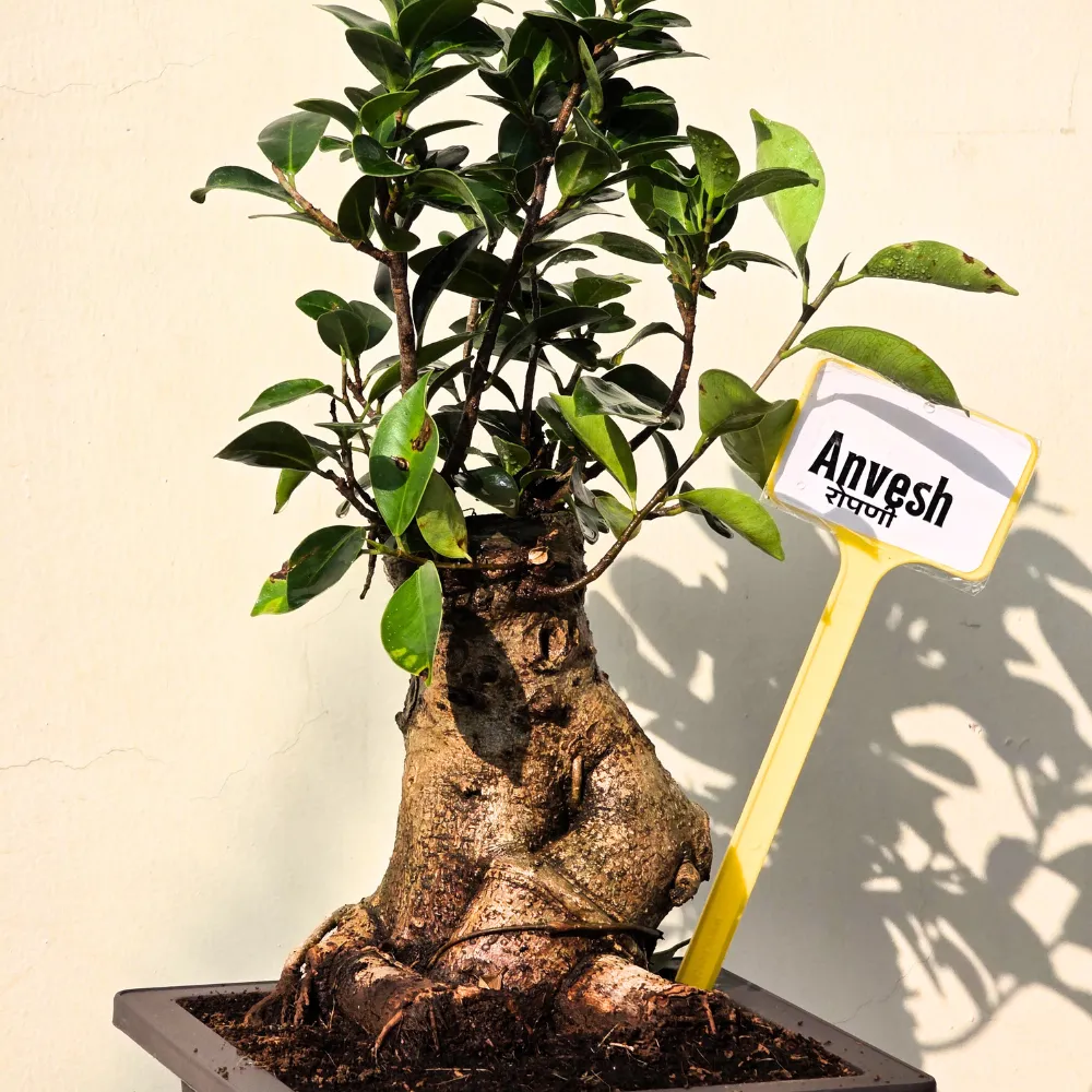 product-gallery