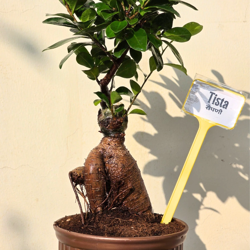 product-gallery