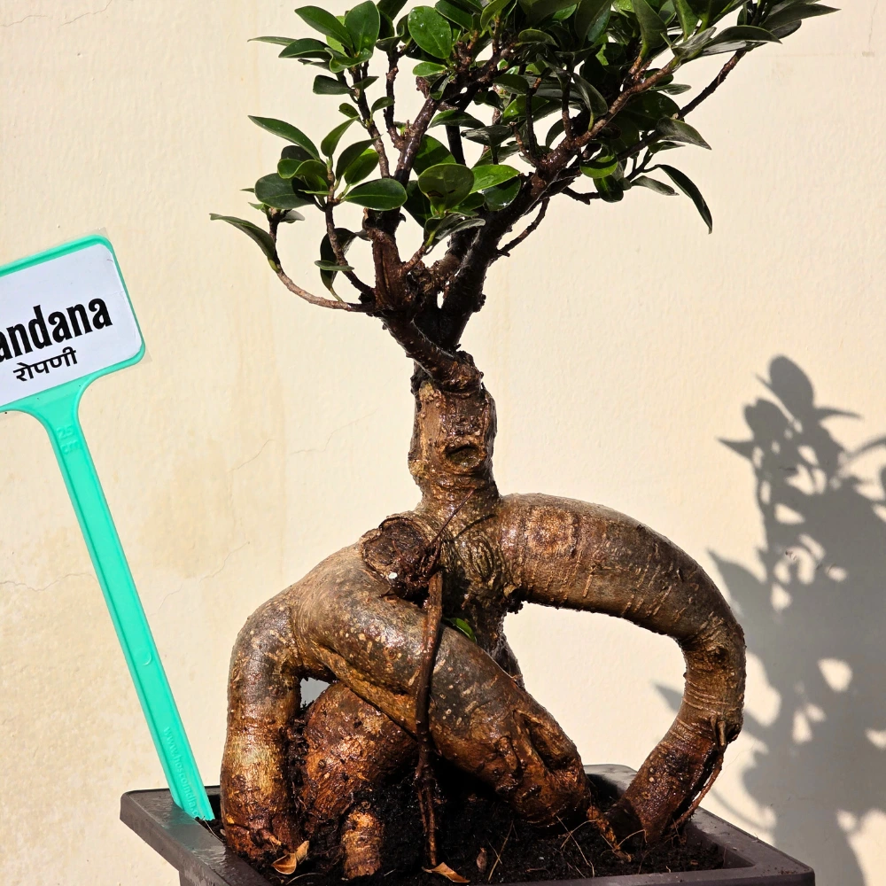 product-gallery