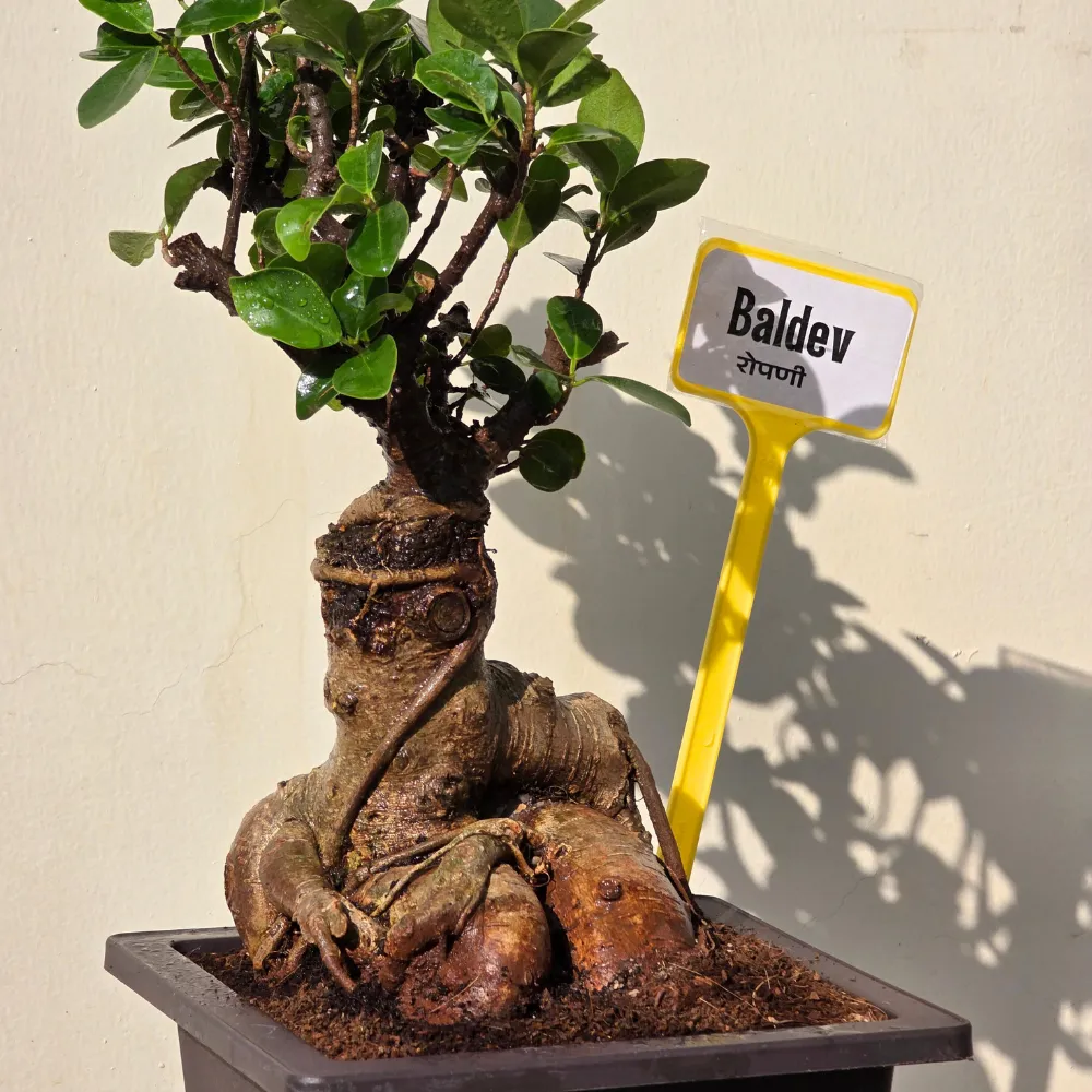 product-gallery