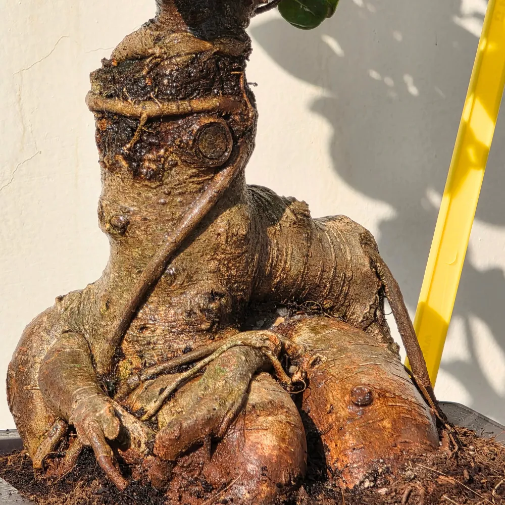 product-gallery