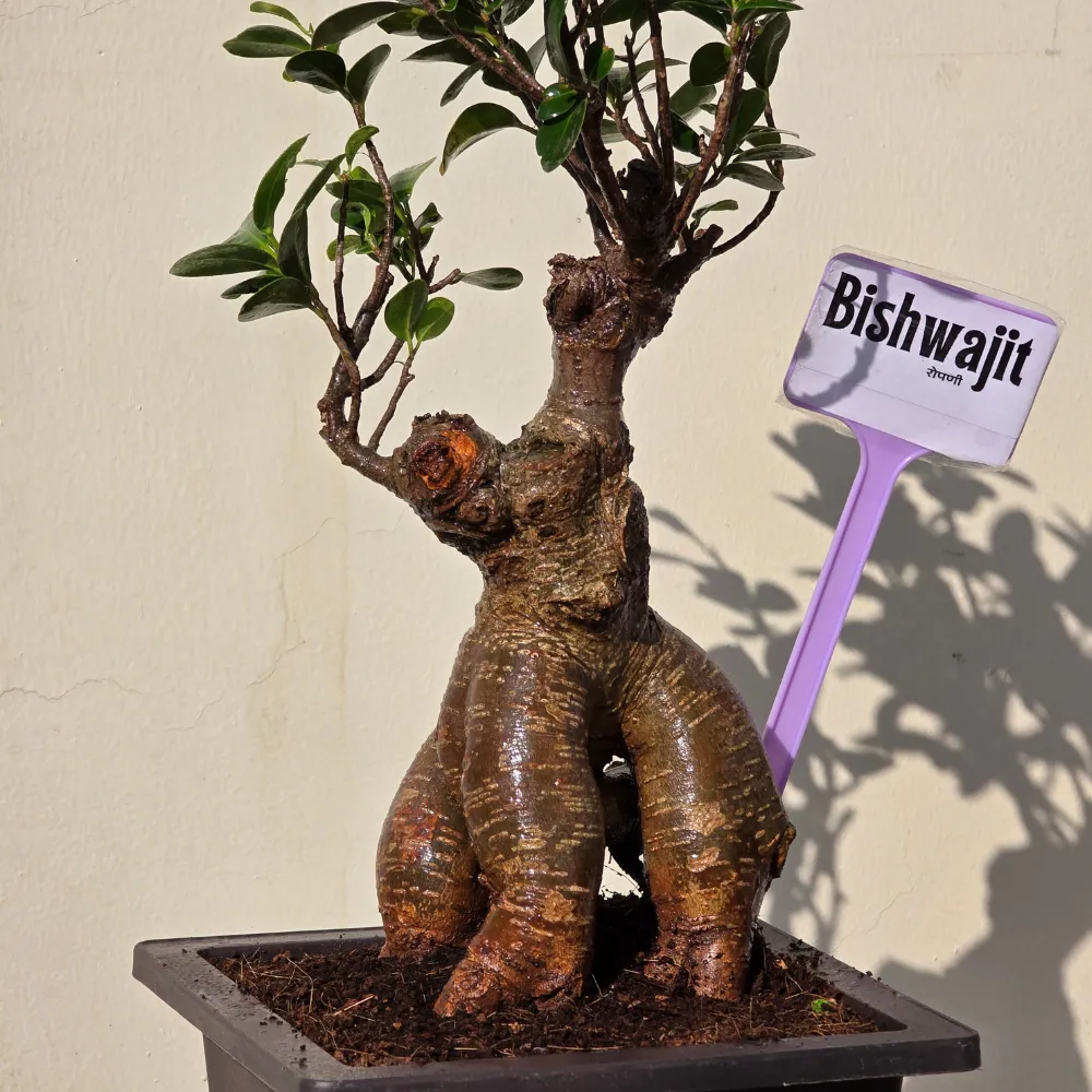 product-gallery