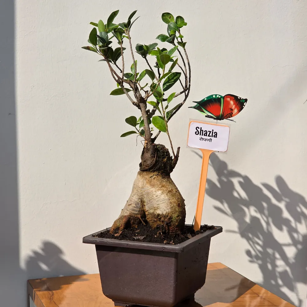 product-gallery