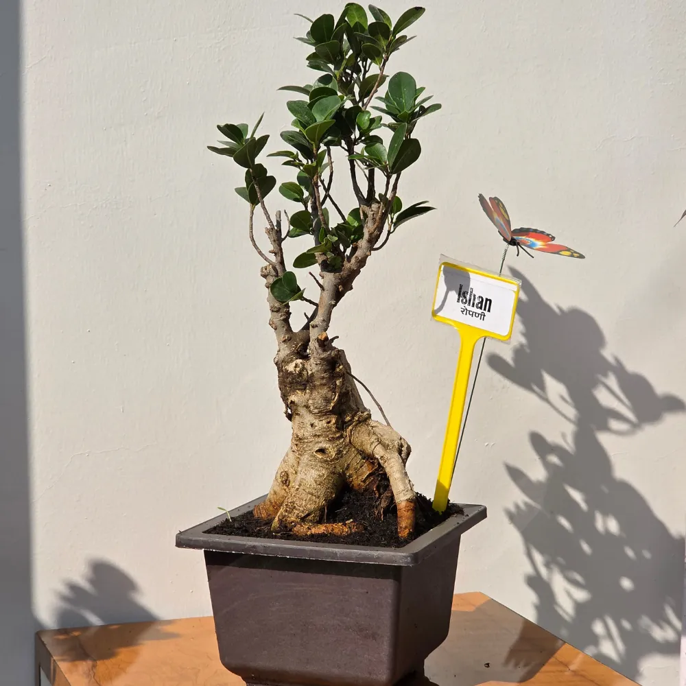 product-gallery