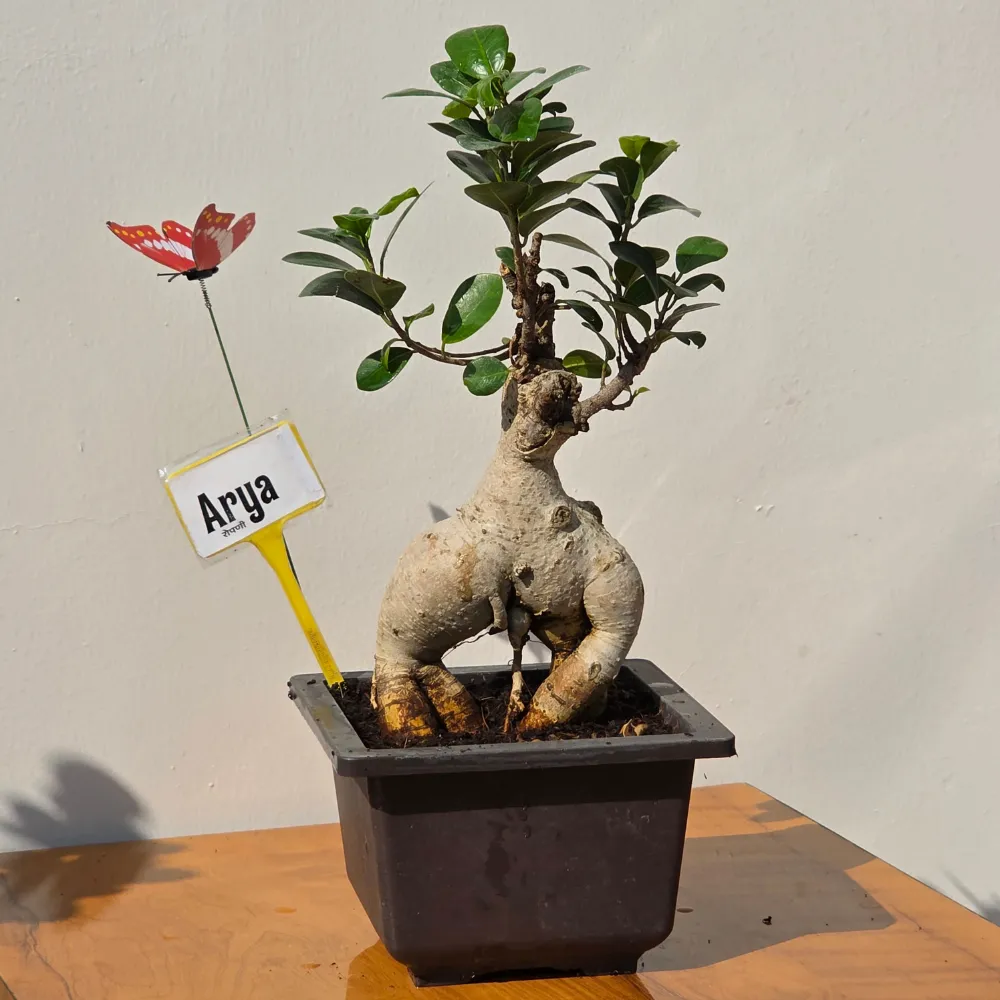 product-gallery