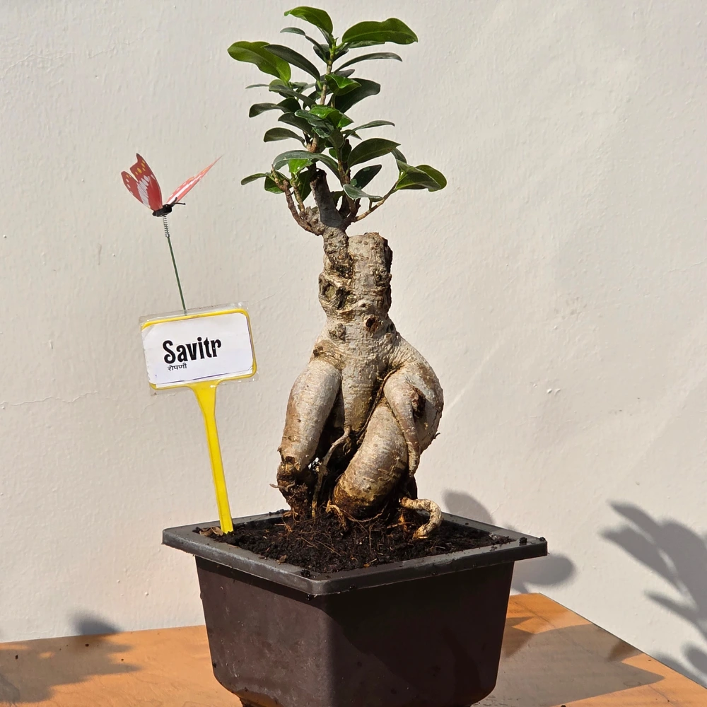 product-gallery