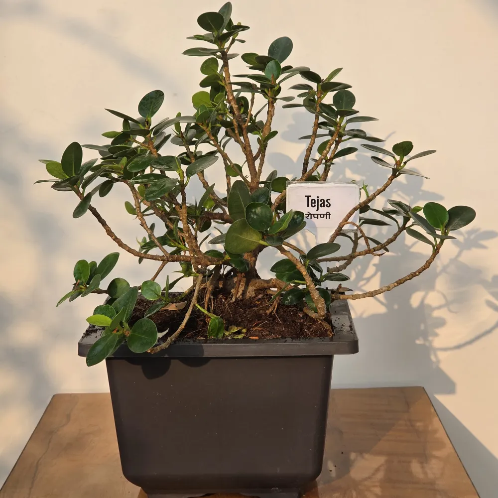 product-gallery