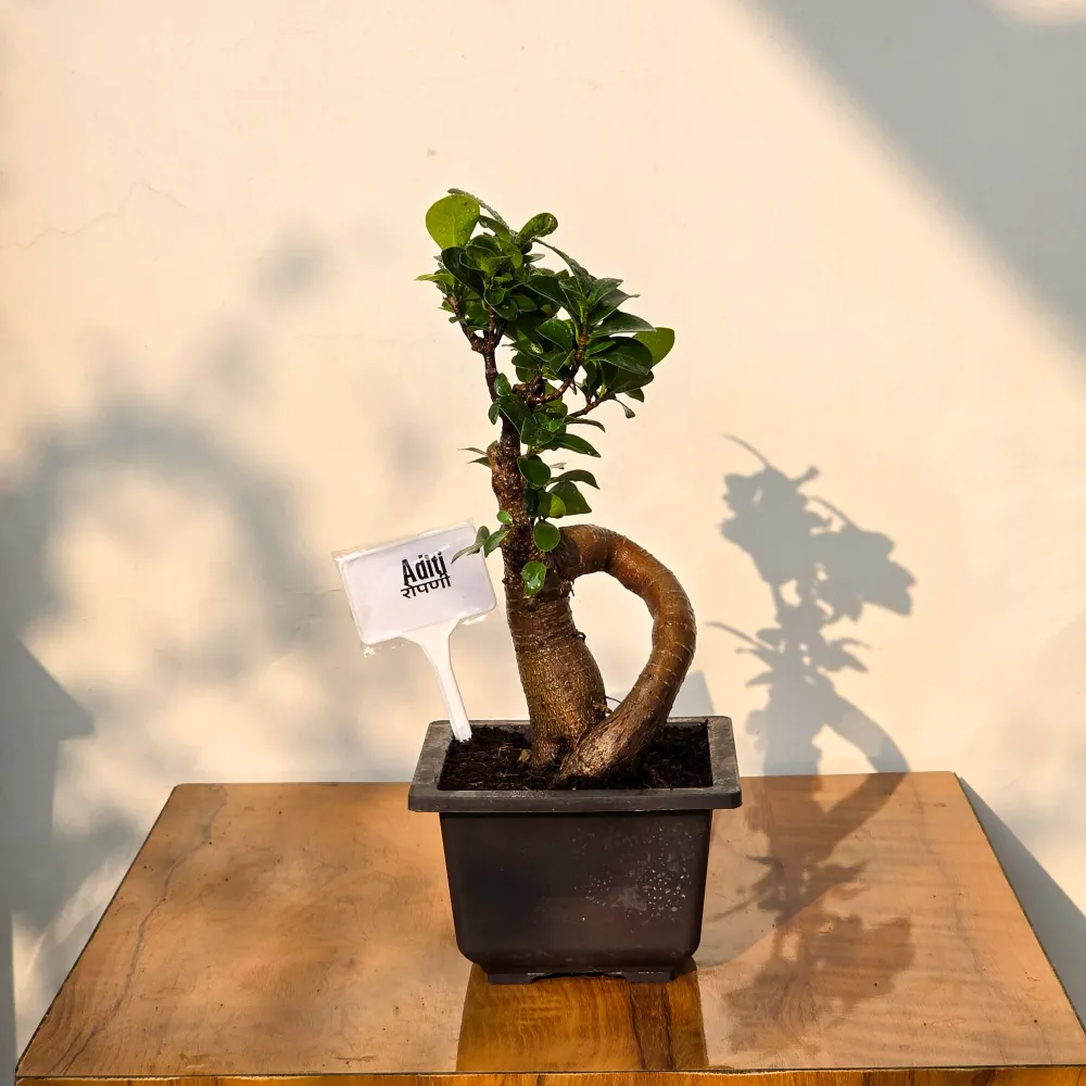 product-gallery