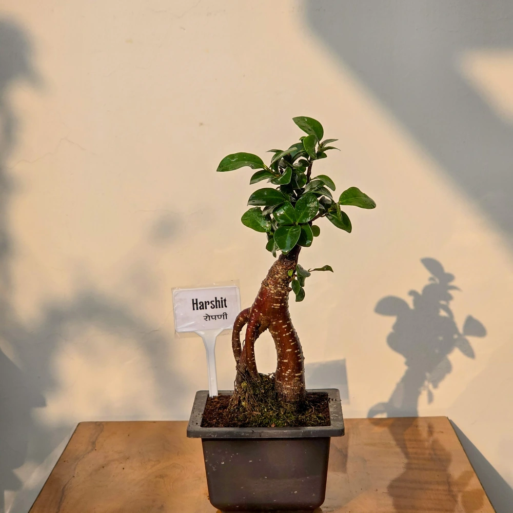 product-gallery