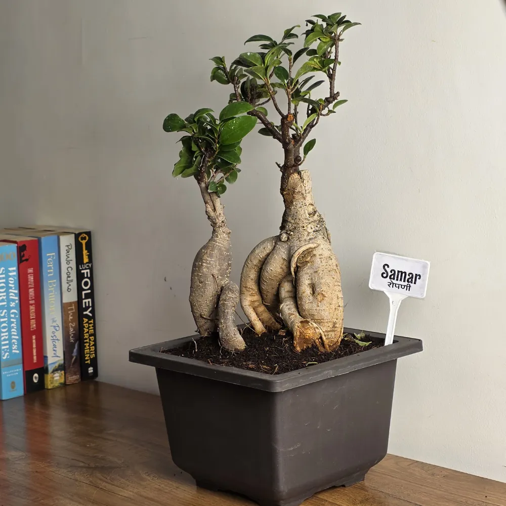 product-gallery