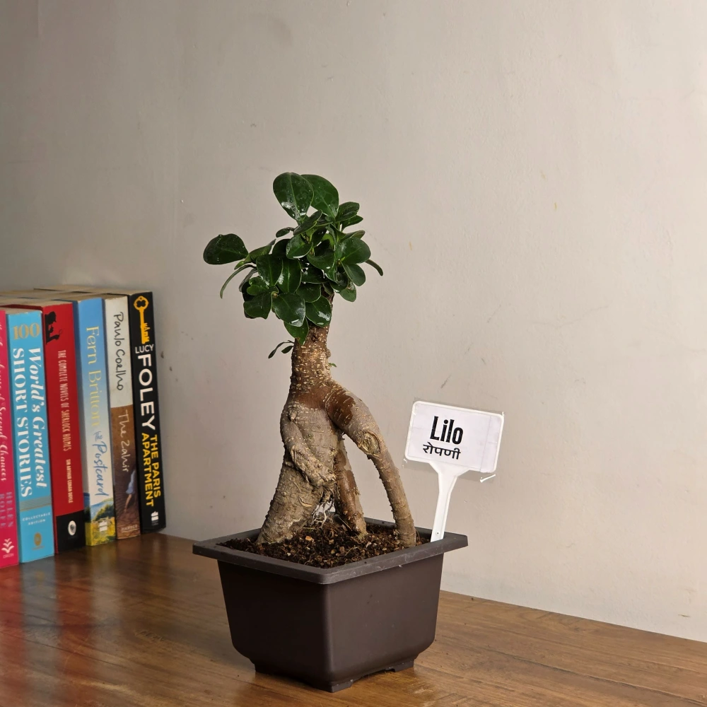 product-gallery