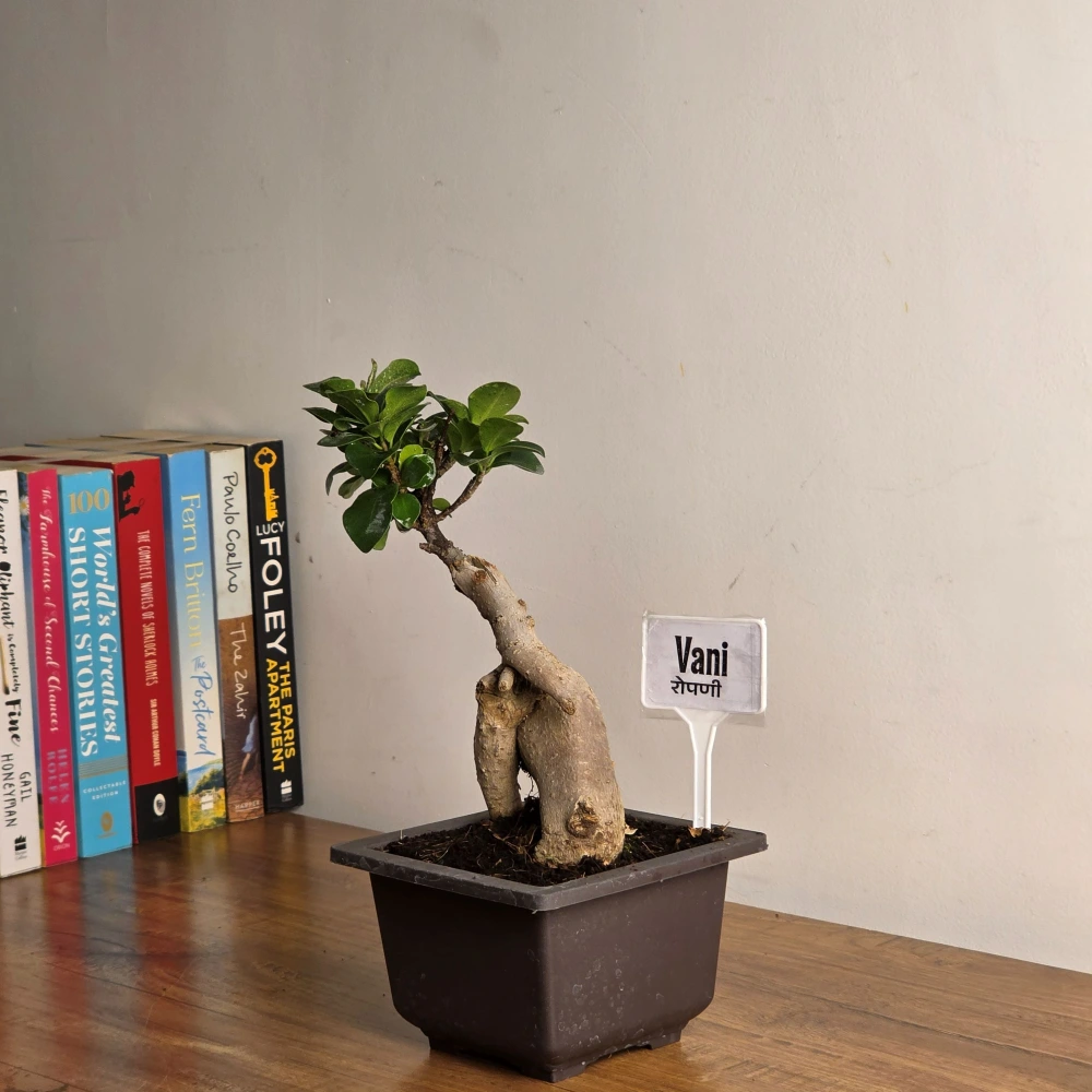 product-gallery