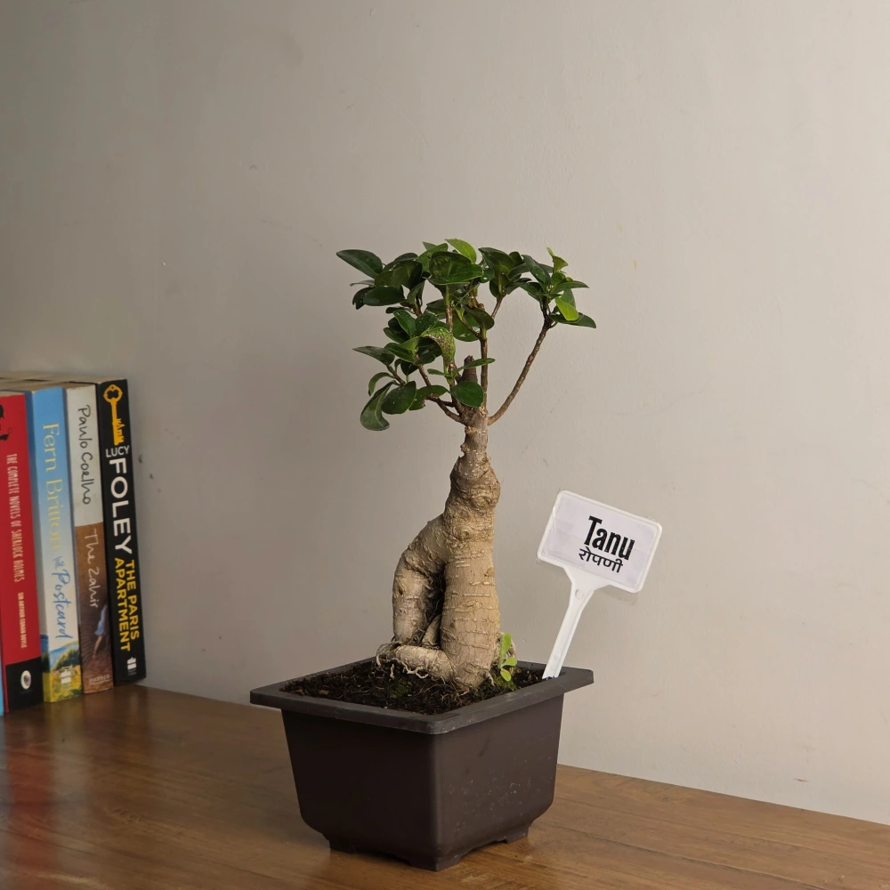 product-gallery