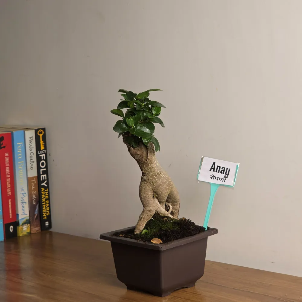 product-gallery