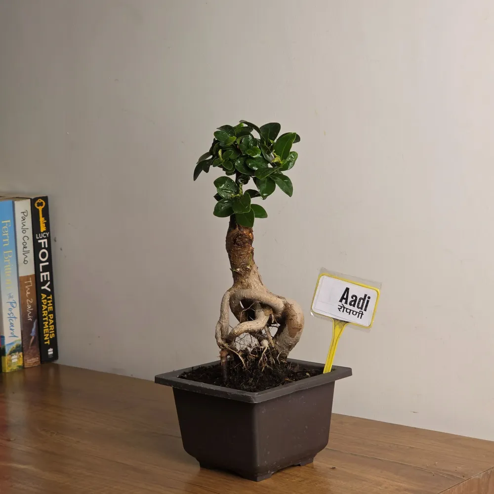 product-gallery