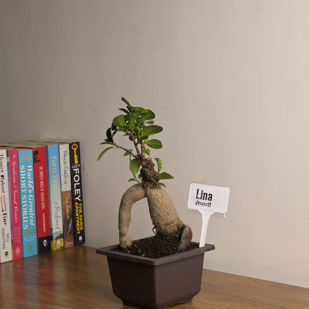 product-gallery