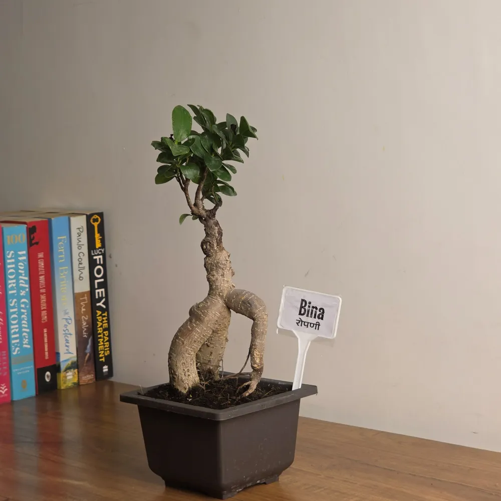 product-gallery