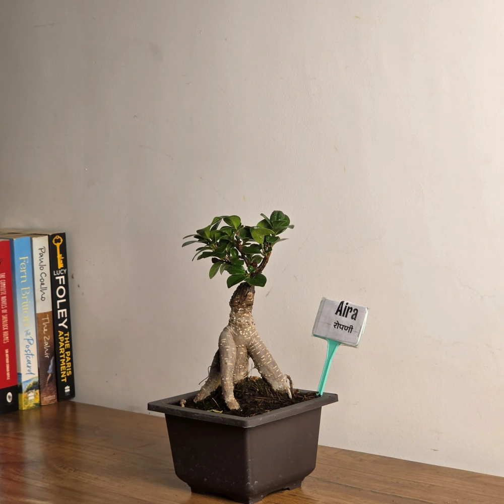 product-gallery