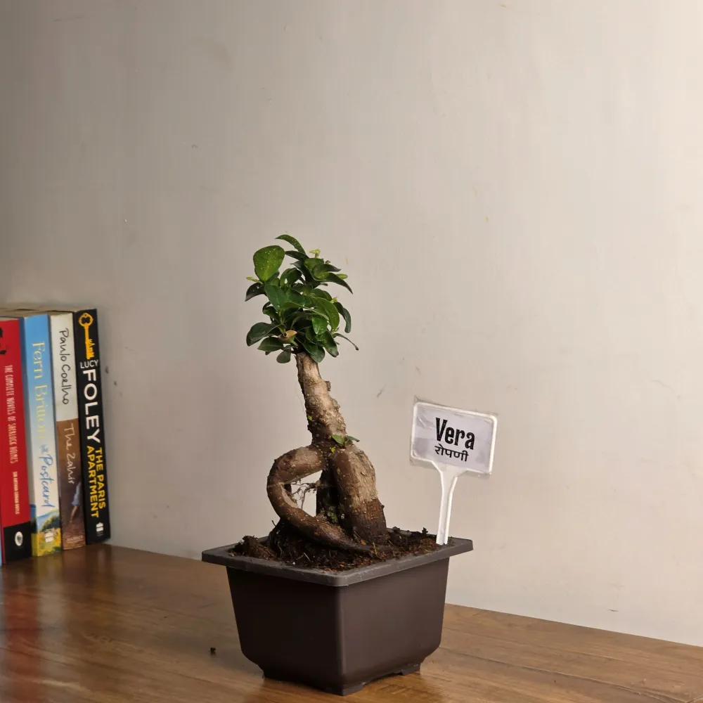 product-gallery