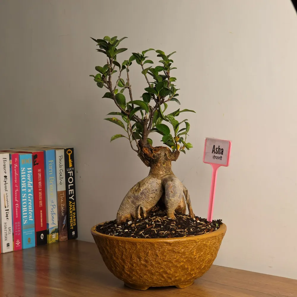product-gallery