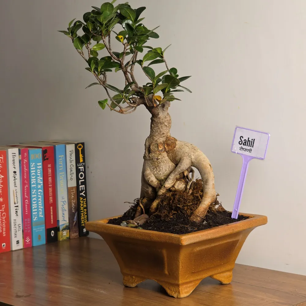 product-gallery