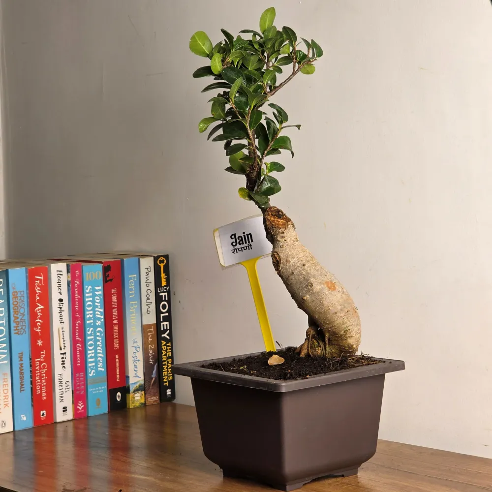 product-gallery