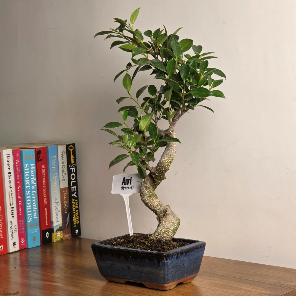 product-gallery