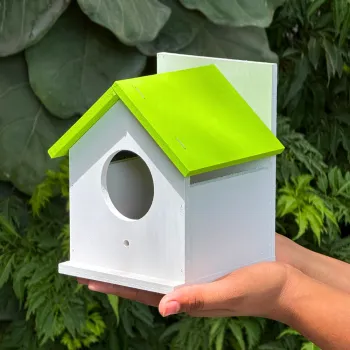 White Wooden Bird House With Green Roof