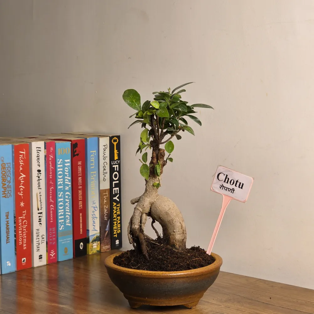 product-gallery