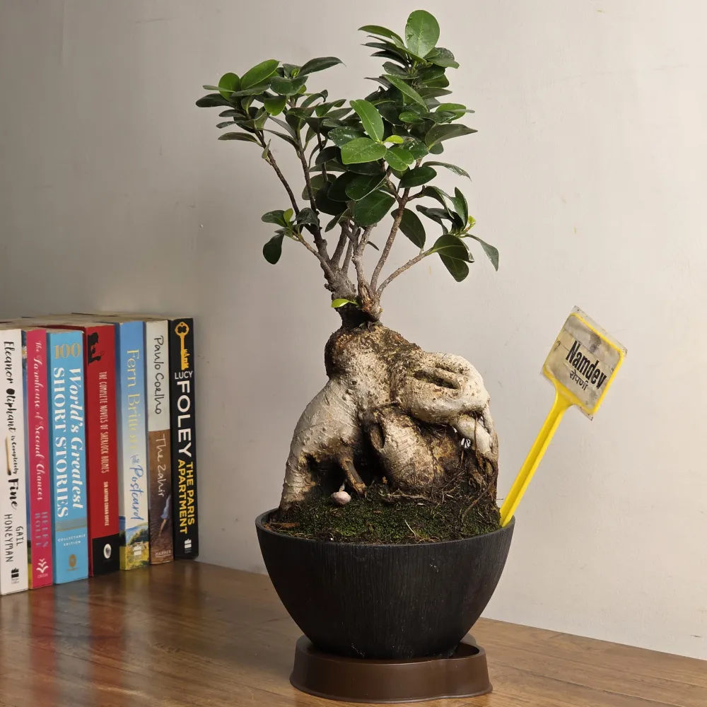 product-gallery