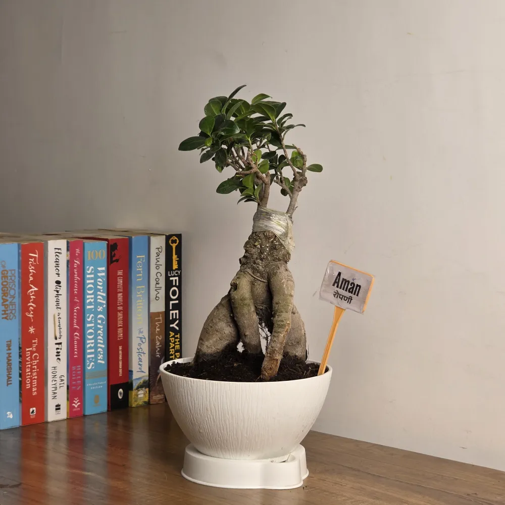 product-gallery