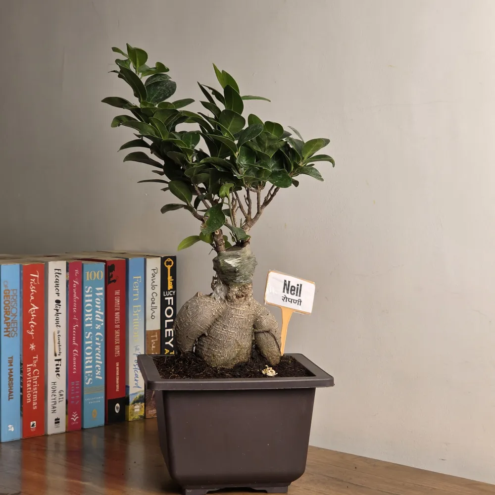 product-gallery