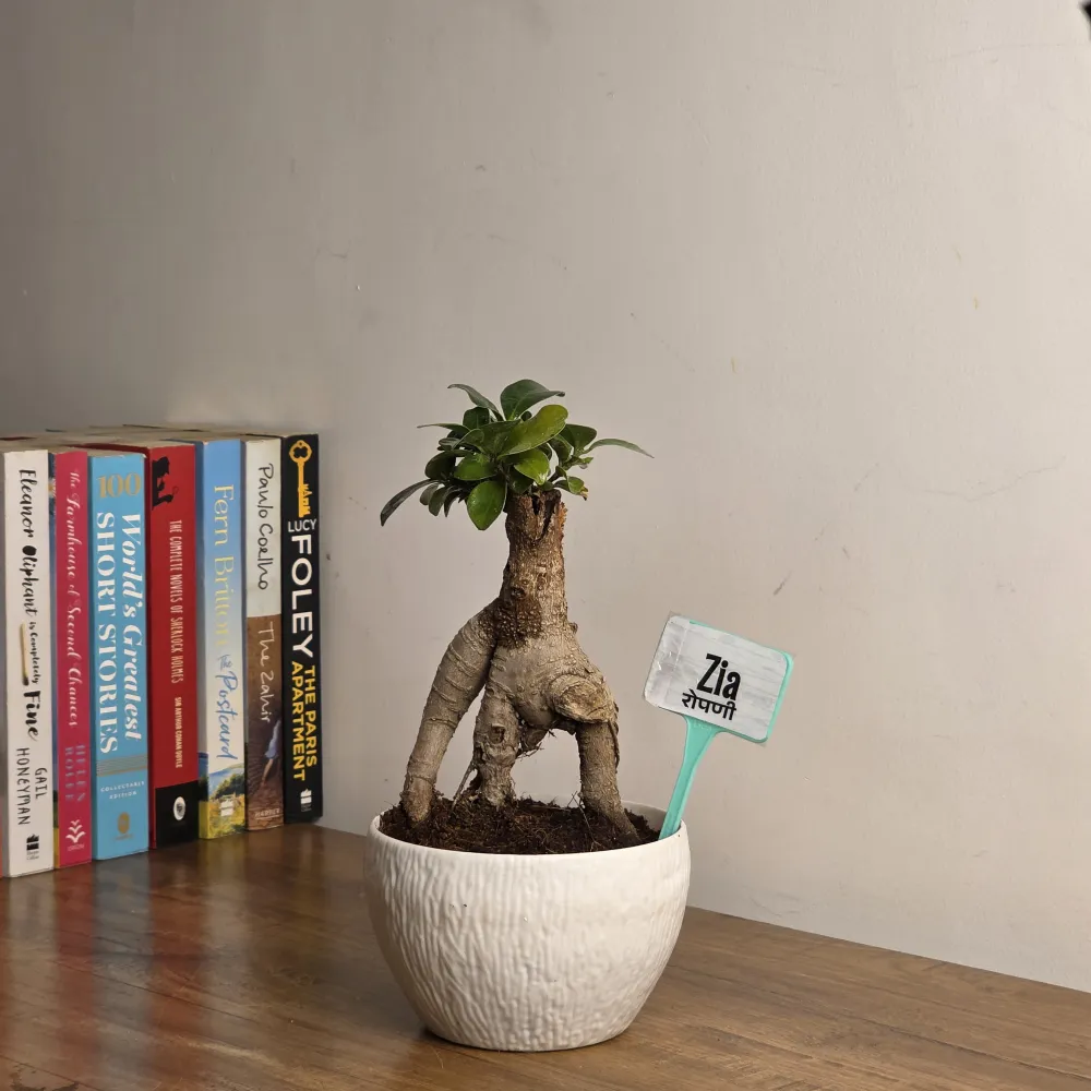 product-gallery