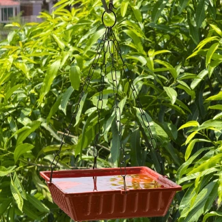 Bird Bathtub