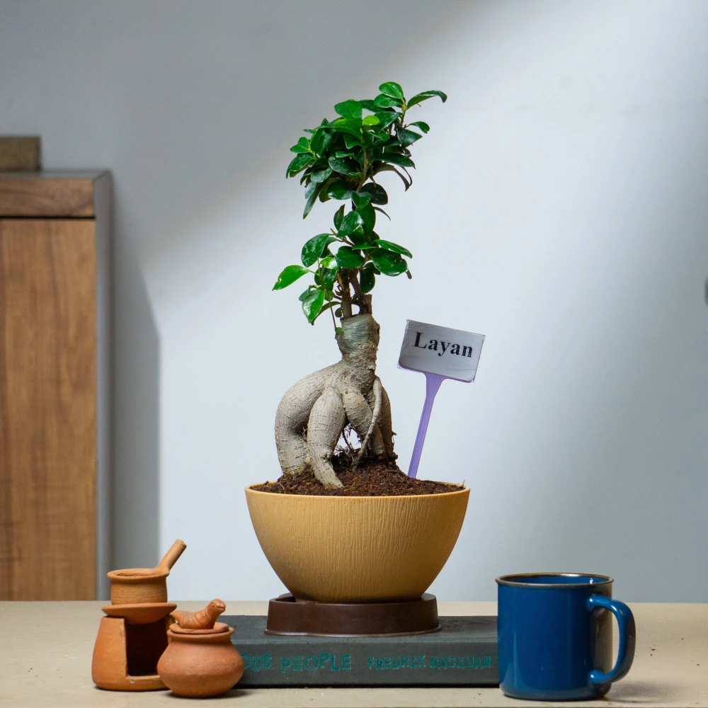 product-gallery