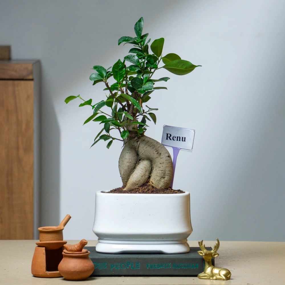 product-gallery