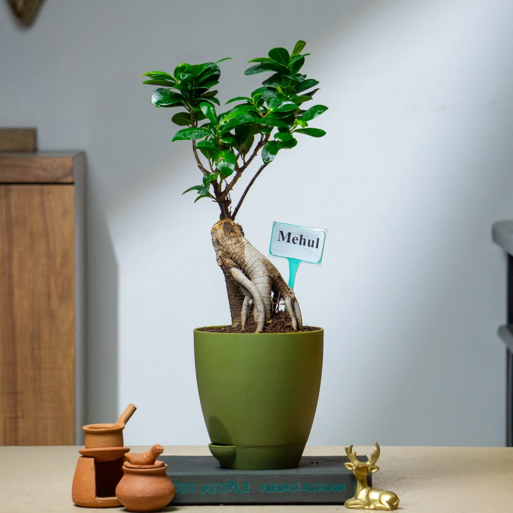 product-gallery