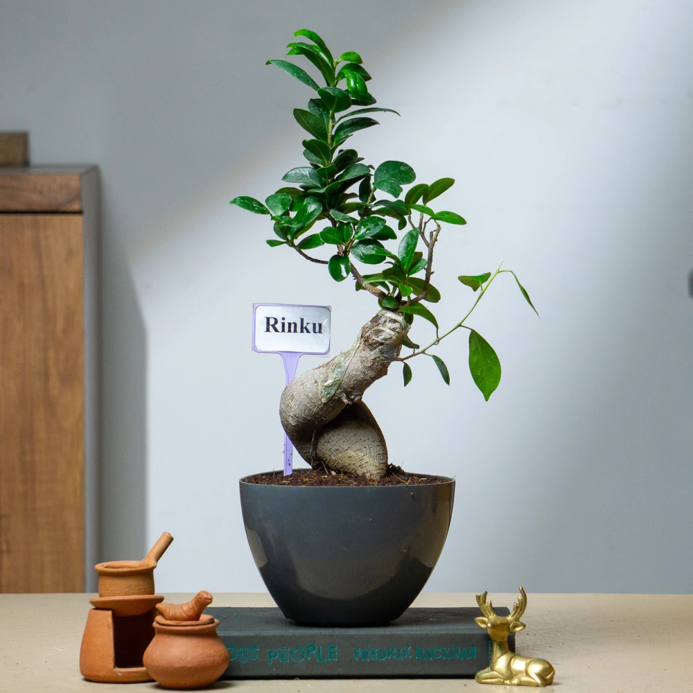 product-gallery